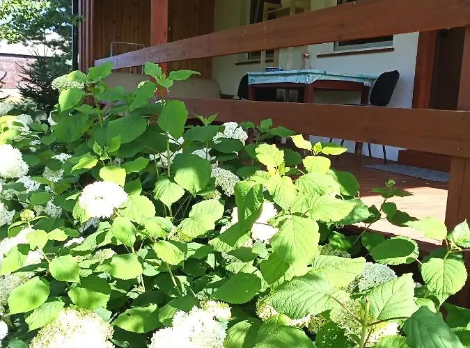 U Wioli I Irka, U Elki , Splywy Kajakowe Karsin